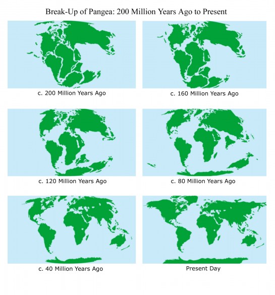 pangea visual