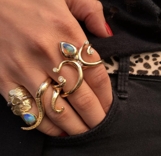 Ana Katarina and K Brunini rings